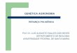 Aulas da Agronomia3 Poligenia - Bem Vindo - UFSMw3.ufsm.br/geneticavegetal/images/anexos/powerpoint/Poligenia.pdf · AÇÃO ADITIVA DOS GENES ... A’ = 1 mg – alelo não contribuinte