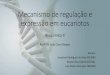 Mecanismos de expressão genica em eucariotosgraduacao.iqsc.usp.br/files/Mecanismos-de-expressão-genica-em... · Mecanismo de regulação e expressão em eucariotos ... A regulação