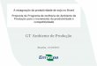 GT Ambiente de Produção · “Nãoexistem dados e informação de solos em escala adequada ... Objetivos principais do PronaSolos: ... acesso a todos cidadãos brasileiros