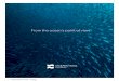 From the ocean’s point of view · A Fundação Oceano Azul, nova campeã internacional dos oceanos, fortalece a liderança em assuntos marinhos 1 Valor entregue ao governo português