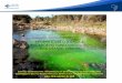 INFORME SOBRE O ENSAIO DE TRAÇADOR NO SUMIDOURO … · informe sobre o ensaio de traÇador no sumidouro do rio verde grande, jaÍba-mg jaíba, 25 de setembro de 2018 seminÁrio dos