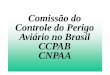 Comissão do Controle do Perigo Aviário no Brasil CCPAB CNPAA · A audiência compreenderá o perigo que a aves representam para a atividade aérea e evolução do trabalho ... CENIPA-CCPAB