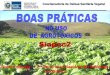Siapec2 - Associação Brasileira do Comércio de Sementes ... · Coordenadoria de Defesa Sanitária Vegetal Responsabilidade compartilhada (Lei 9974/00) 1 Agricultor • Lavar Lavar
