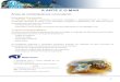 A Arte e o mar! - imgs.sapo.ptimgs.sapo.pt/files/kitdomar/dev/files/11._ficha_arte_e_o_mar.pdf · Visita de estudo a um Museu do Mar que tenha exemplares de espécies marinhas 