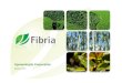 Apresentação Corporativa Ago 2011 - fibr.infoinvest.com.br · Unidade de papel Alta produtividade na produção de eucalipto (média 45 m3/ha/ano) e florestas certificadas Ciclo
