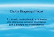 Ciclos Biogeoquímicos - Ecdise - Seja Bem Vindo ao Mundo da …ecdise.weebly.com/uploads/2/8/4/6/2846714/aula_3_-_ciclos... · Os elementos químicos associados com o fluxo de energia
