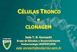 C‰LULAS TRONCO e CLONAGEM - Tronco e...  C©lulas Tronco Adultas ou Somticas Transplante de medula