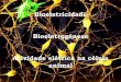 Bioeletricidade Bioeletrogênese Atividade elétrica na ... · 1. Recepção e codificação das informações 2. Transmissão das informações – via neuronal 3. Processamento