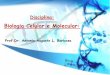 Biologia Celular e Molecular - Cloud Object Storage · transporte atravÉs da membrana conceitos: soluÇÃo solvente soluto + h 2 o na+ tendência biológica => igualar as concentraÇÕes