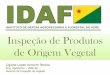 Ligiane Lopes Amorim Pereira - agricultura.gov.br · Entende-se como operador de produtos de origem vegetal, qualquer pessoa física ou jurídica que lide com produtos de origem vegetal
