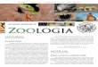 SOCIEDADE BRASILEIRA DE Zoo logiasbzoologia.org.br/uploads/1477680802-bol113jun2015.pdf · de chapas concorrentes serão aceitas ... do candidato ao cargo. ... Brasileiras pelo Programa