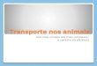 Dos mais simples aos mais complexos: o caminho da eficiência10ebgspedro.weebly.com/.../3/14035134/transporte_nos_animais_2016.pdf · Nos animais mais simples… Nos animais mais
