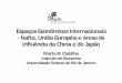 Espaços Econômicos Internacionais - Nafta, União Européia ... · principais tendências em termos de configuração dos espaços integrados e efeitos sobre os fluxos de comércio