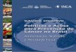Políticas e Ações para Prevenção do Câncer no Brasilbvsms.saude.gov.br/bvs/publicacoes/sumario_executivo_politicas... · responsável pelo desenvolvimento e coordenação de