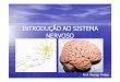 INTRODUÇÃO AO SISTEMA NERVOSO · sistema nervoso sistema nervoso ou sistema neural É o sistema integrador por excelÊncia conceito das atividades do corpo humano no indivÍduo