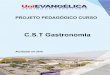 C.S.T Gastronomia CST Gastronomia.pdf · ... na área que abrange todo o Estado de Goiás e o ... para a consolidação da plataforma multimodal ... de Anápolis um centro de logística,