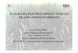 PANORAMA DOS BIOCOMBUSTÍVEIS NO BRASIL: …143.107.4.241/download/documentos/seminbioenergia/sergioperes_2608.pdf · • Vocação para o plantio da mandioca . • Possibilidade