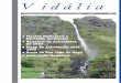 V i d á l i a - Amigos dos Açores · Açores, relativo ao ano de 2004, ... os primeiros povoadores terão ... Pinhal da Paz. O Dia da Terra foi comemorado na Esco-