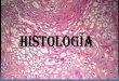 Histologia§ão do Tecido Epitelial -Tecido Epitelial de Revestimento (TER) -Tecido Glandular (TG) Tecido Epitelial Funções Proteção Absorção Secreção Excreção Percepção