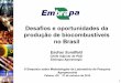 Desafios e oportunidades da produção de biocombustíveis no ... · EA12: Ampliar o esforço de zoneamento e avaliação de impactos ecológicos, econômico e sociais para a identificação