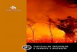Sumrio - Jornal Dia de 6543978-104D}_cartilha-de...  equipamentos teis de combate a incndios,
