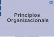 Princípios Organizacionais - wiki.ifsc.edu.br · Princípios e Valores Princípios são balizamentos para o processo decisório e para o comportamento da empresa no cumprimento de