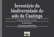 Inventário da biodiversidade do solo da Caatinga · biodiversidade do solo da Caatinga Princípios, perspectivas e desafios Dr. Tancredo Souza1 ... Engenheiros do ecossistema. Perspectivas