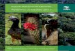 Instituto Chico Mendes de Conservação da Biodiversidade … · Instituto Chico Mendes de Conservação da Biodiversidade 1 Missão Proteger o patrimônio natural e promover o desenvolvimento