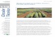 Manejo de pragas em hortaliças durante a transição ... - CORE · 2 Manejo de pragas em hortaliças durante a transição agroecológica sistema agrícola não tem as defesas próprias