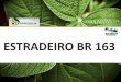 ESTRADEIRO BR 163 VISITA TÉCNICA BASF 06/03/12 Brasilia … · aos poderes Executivo, Legislativo e Judiciário a implantação e manutenção de obras rodoviárias, ferroviárias