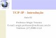 TCP-IP - Introdução · informação entre os diversos grupos de trabalho via Intranet. ... Uma família de protocolos de rede ... ela os envia através de cada nível da pilha de