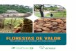 FLORESTAS DE VALOR - imaflora.org · racicaba, no interior paulista, a primeira organização não go- vernamental brasileira dedicada a temas como o manejo e a certificação florestal