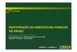 PARTICIPAÇÃO DA AGRICULTURA FAMILIAR NO BRASIL · NO BRASIL. INSTRUMENTOS LEGAIS ... Seção 2, Capítulo 10, do Manual de Crédito Rural (MCR) ... (7,5%) Governo Municipal (3,75%)