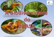 Apresentação do PowerPoint - snirh.apambiente.pt · A variedade de biomas reflecte a riqueza da flora e fauna brasileiras, tornando-as as mais diversas do mundo. Muitas das espécies
