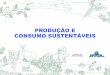 PRODUÇÃO E CONSUMO SUSTENTÁVEIS · e consumo sustentáveis, para promover o desenvolvimento social e econômico dentro da ... inovação tecnológica, redução de Gases de Efeito