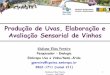 Produção de Uvas, Elaboração e Avaliação Sensorial de Vinhosainfo.cnptia.embrapa.br/digital/bitstream/CPATSA-2009-09/39785/1/... · EVOLUÇÃO DA VITIVINICULTURA MUNDIAL 9Gregos: