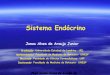 Sistema Endócrino · 2016-02-13 · Sistema Endócrino Jonas Alves de Araujo Junior ... Ajuda a integrar e controlar as funções corporais, proporcionado estabilidade do meio interno