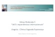 Mesa-Redonda 5 IACS experiências internacionais Angola ... · Comissões e Grupos de trabalho da CSE Acções desenvolvidas Grupo dinamizador da qualidade (GDQ) Inquérito de prevalência