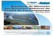 Relatório de Situação da Bacia Hidrográfica do Pontal do ... · do Pontal do Paranapanema (CBH-PP), análises e comentários sobre os indicadores de força- motriz, pressão,