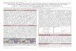 Planejamento de Inibidores da Purina Nucleosídeo ...sec.sbq.org.br/cdrom/33ra/resumos/t0082-1.pdf · reunidas em um modelo farmacofórico 3D de 4 pontos ... modo de ligação das