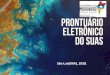 São Luís(MA), 2018 - egma.ma.gov.brRIO-ELETÔNICO-DO-SUAS-1.pdf · SAA –Sistema de Autenticação e Autorização Portaria SNAS nº 15, de 17 de dezembro de 2010 Gestão descentralizada