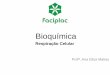 Bioquímica - nutrifaciplac.files.wordpress.com fileMetabolismo • A energia para a manutenção da vida provém da degradação das moléculas orgânicas (carboidratos, lipídios,