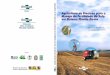 Florestas Meio Ambiente Pecuria Sudeste .Empresa Brasileira de Pesquisa Agropecuria Embrapa