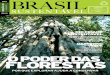 2011 BRASIL - cebds.orgcebds.org/wp-content/uploads/2014/02/Brasil-SustentÃ¡vel-Ed.-33... · de Falsos atRibutos ... moRRos caRiocas. C â m a r a s t e m á t i C a s Carlos eduardo