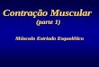 Contra§£o Muscular - ufrgs.br em PDF/15...  4 Enfraquecimento da liga§¤o actina- miosina (efeito