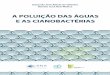 A POLUIÇÃO DAS ÁGUAS E AS CIANOBACTÉRIAS · A POLUIÇÃO DAS ÁGUAS E AS CIANOBACTÉRIAS Instituto Federal de Educação, Ciência e Tecnologia de Pernambuco, Campus Recife -
