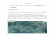 ANEXO DETALHAMENTO DO PROJETO DAS VICINAISepdrsx.pdrsxingu.org.br/content/files-xmls/projetos/2017319/docs... · 1.2 Ramal Novo Xingu 1.2.1. Justificativa A adequação de estradas