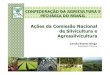 Ações da Comissão Nacional de Silvicultura e Agrossilvicultura · Implantação de viveiros Escolha da área e tamanho do viveiro Sementes Sementeiras Localização do viveiro