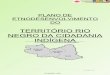 TERRITÓRIO RIO NEGRO DA CIDADANIA INDÍGENAsit.mda.gov.br/download/ptdrs/ptdrs_qua_territorio136.pdf · da Cidadania Indígena, por sua característica étnica bastante definida