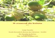 O manual da bolota - Notícias da Escola Quinta das Palmeiras · Os diferentes biomas que constituem a biosfera encontram-se interligados e interdependentes. A melhoria num dos seus